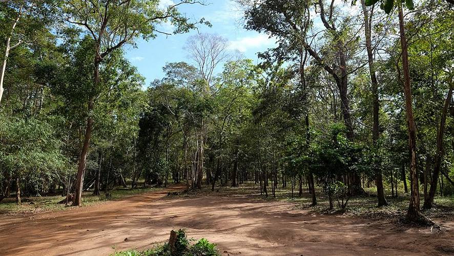 21-koh ker-36
